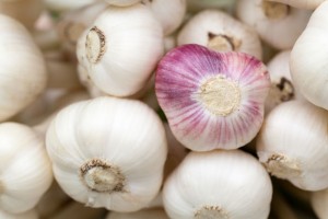 fresh-garlic