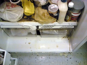 nasty fridge