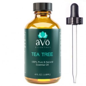 essential-oil-tea-tree